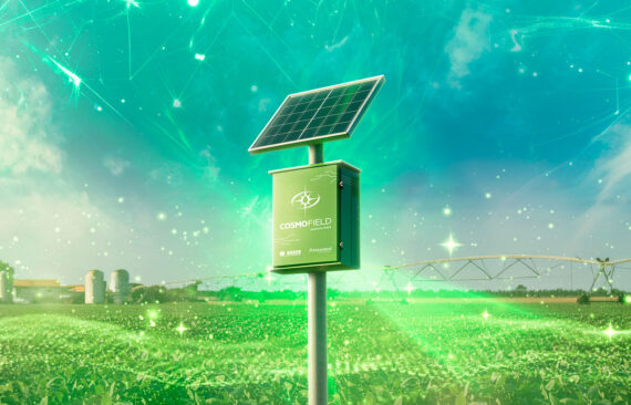 Bauer_Cosmofield_Banner_Site