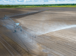 Bildschirmfoto 2025-11-08 um 13.33.30