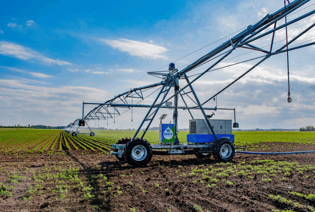 Bildschirmfoto 2025-11-08 um 13.36.19