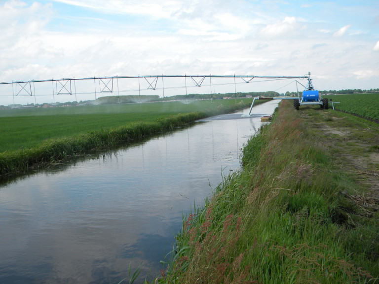 GRUPP-Farm,Tasm.2010 053