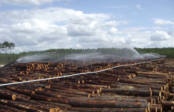 Bauer Holzplatzberegnung
