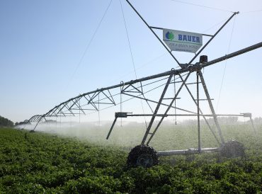 Linearsystem_Bauer_Tomaten