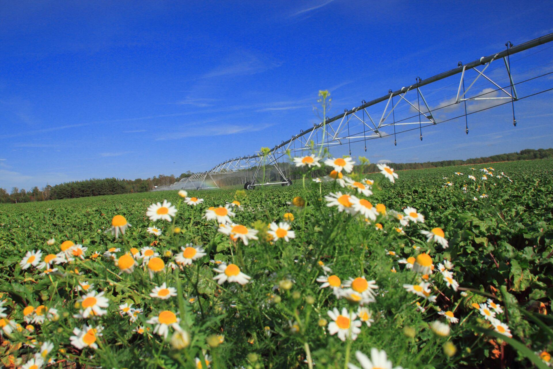 Bauer Linestar Linear Pivot Irrigation Systems | IrriFinder